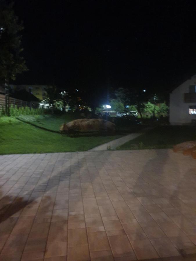 Pensiunea Transilvania Covasna Ngoại thất bức ảnh
