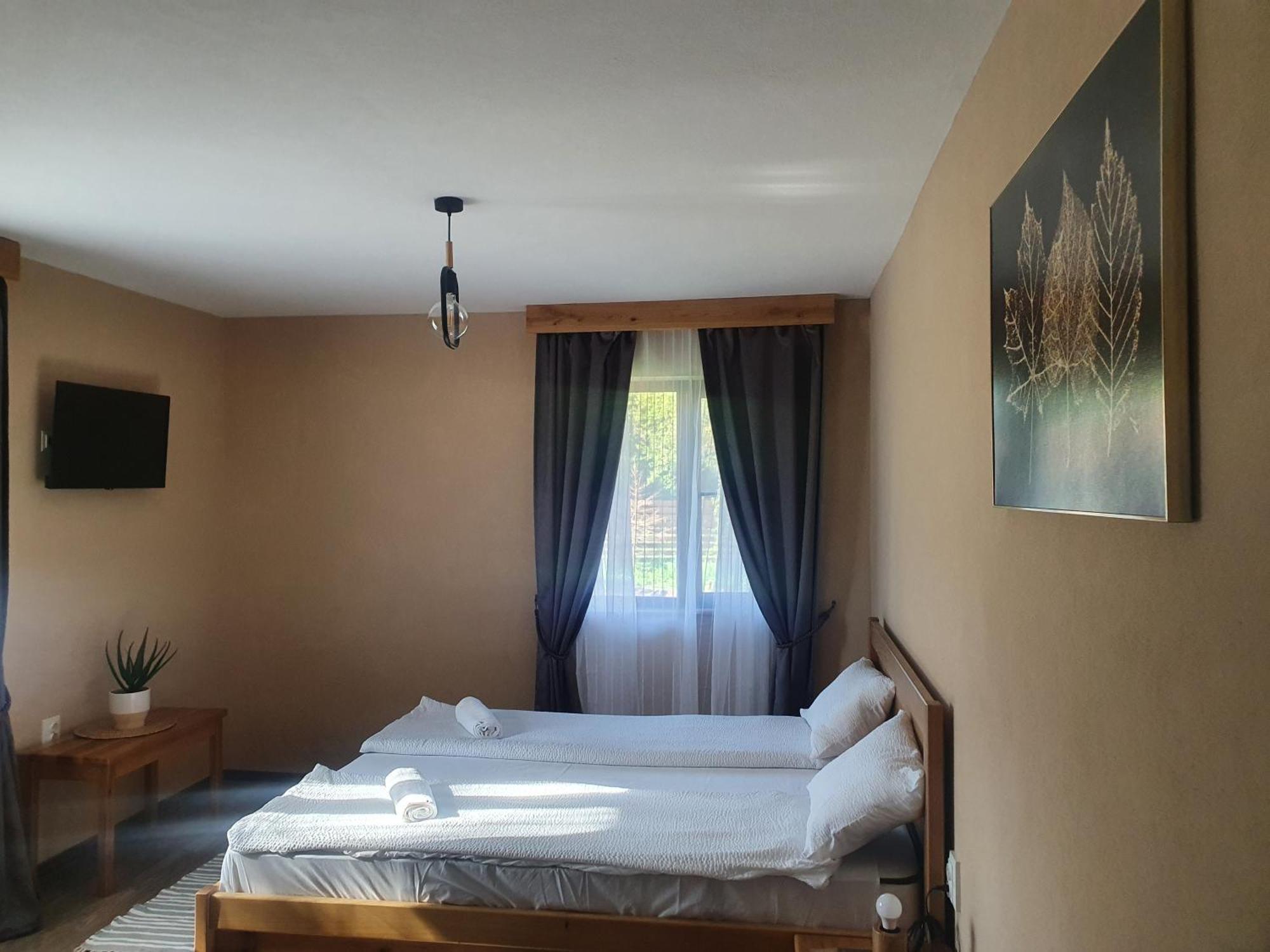 Pensiunea Transilvania Covasna Phòng bức ảnh